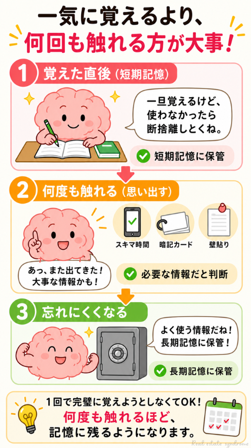 脳みそ擬人化、短期記憶から長期記憶へ